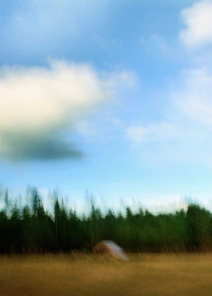 YOU MIGHT BELONG HERE